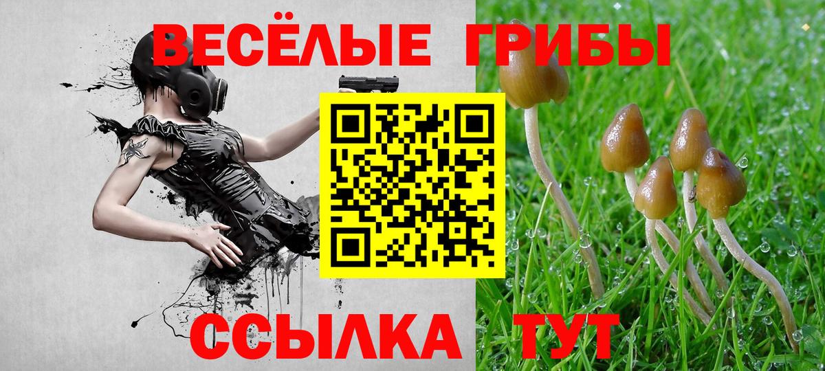 Псилоцибиновые грибы MAGIC MUSHROOMS Видное